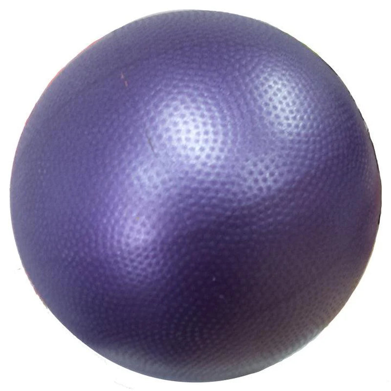 Workoutz 9-Inch Mini Yoga and Pilates Ball - Ignition Fitness